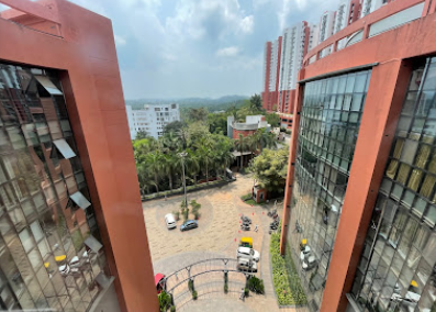 About Catalyst Education